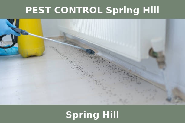 PEST CONTROL Spring Hill